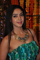 Angana Roy Gallery